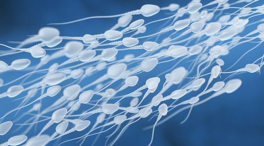 5 Ways to Improve Your Sperm Health: Common Myths Debunked