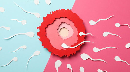 A Guide to Getting Pregnant: The Very First Steps