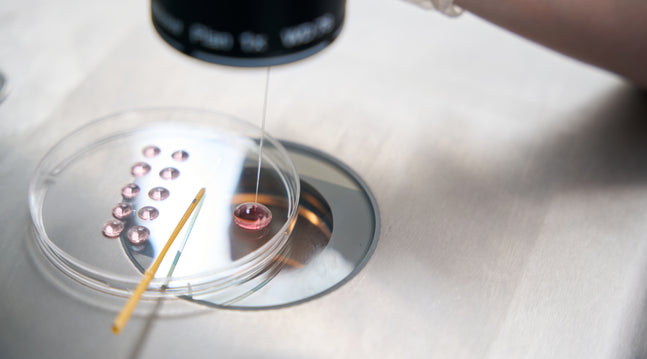 Things to Know Before Starting Your IVF Journey