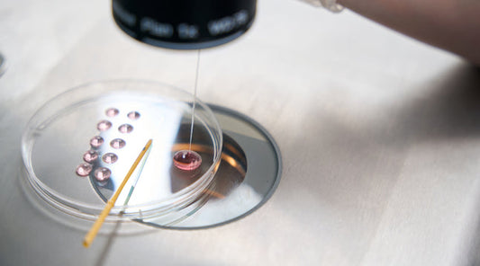 Things to Know Before Starting Your IVF Journey